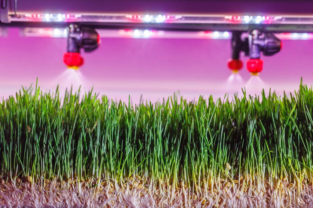 Agri-technology
